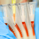 Image for article titled Home DNA-Testing Kits Can Help Catch Killers, But Who Decides Where We Draw the Line?